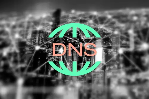 DNS-레코드